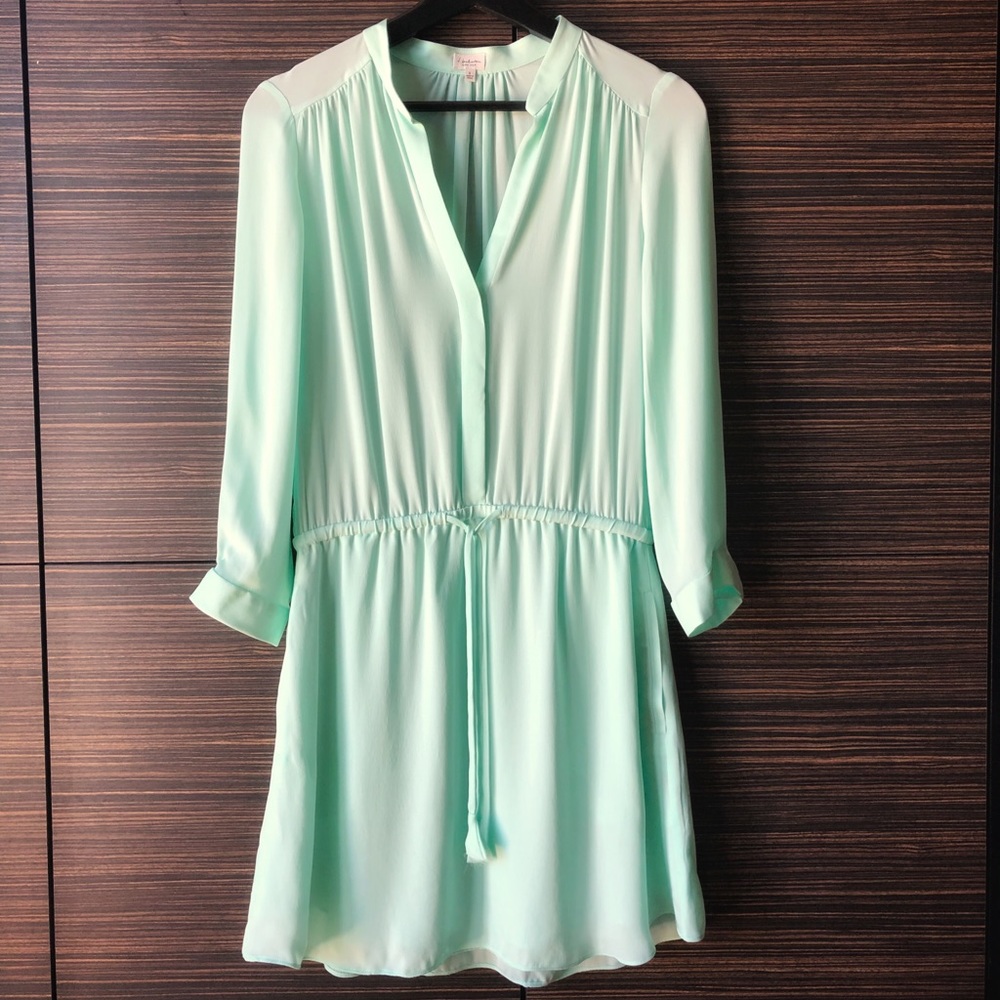 Talula Babaton by Aritzia Bennett silk dress Mint